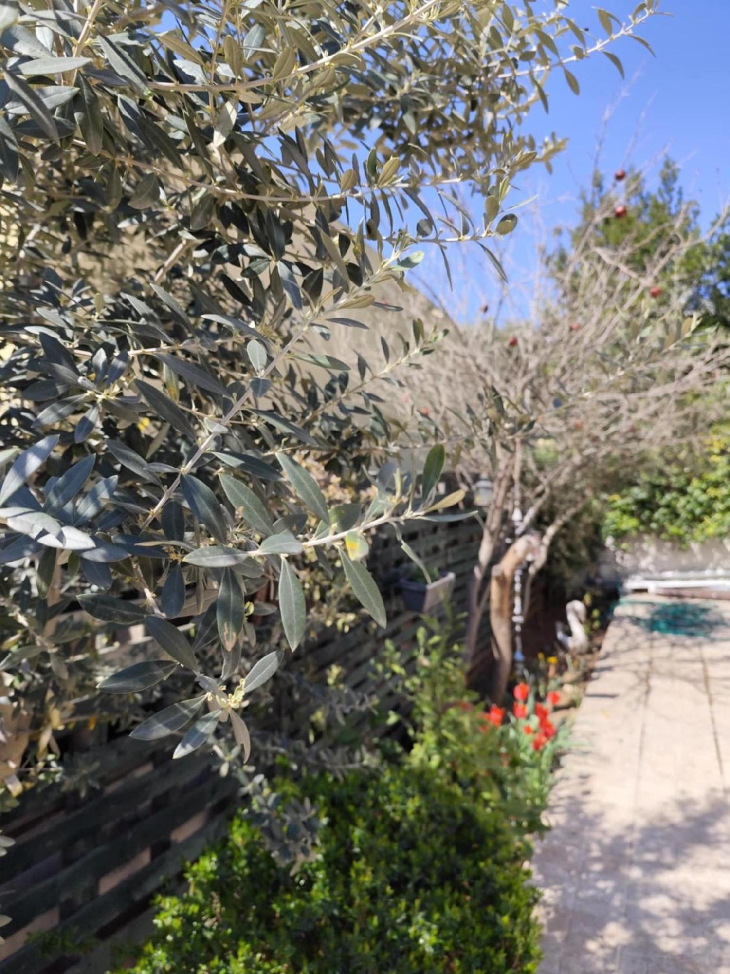 Mary'S Cozy Apartment Alexandroupoli Bagian luar foto