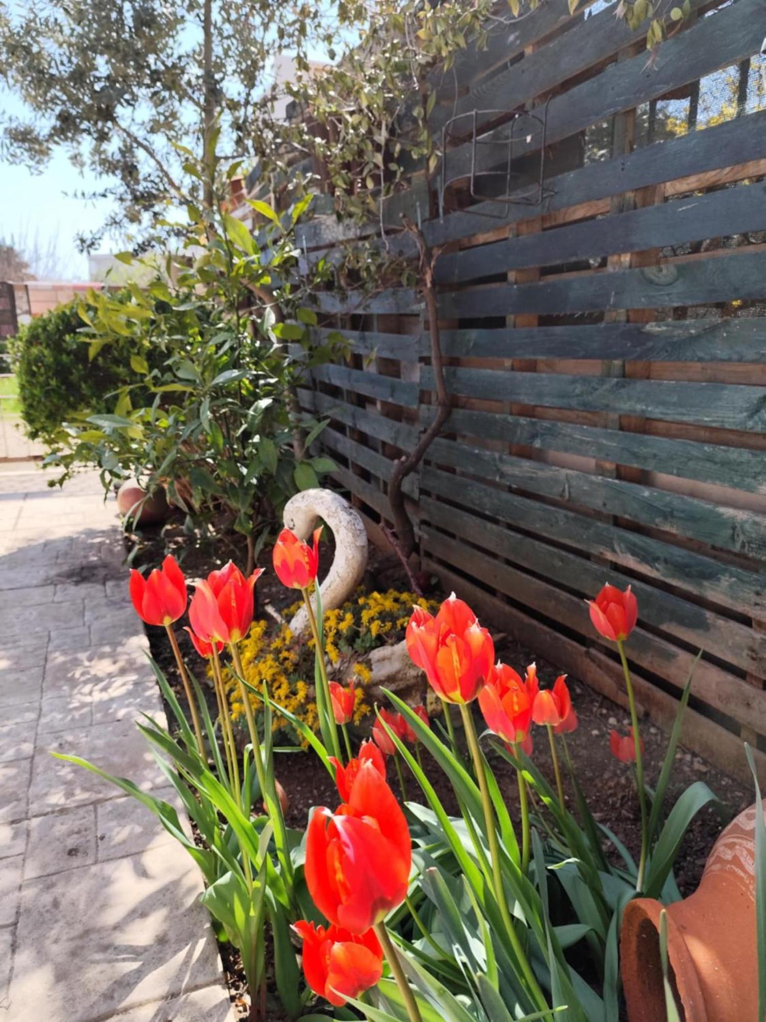 Mary'S Cozy Apartment Alexandroupoli Bagian luar foto